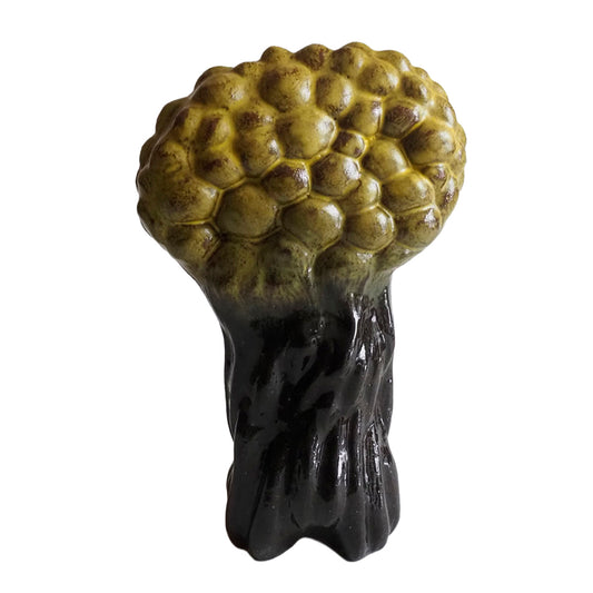 Þörungar í sjávargarðinum - Algae in the ocean garden