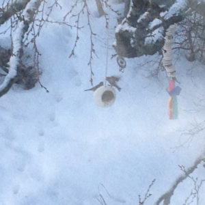 Fuglagjafi, bird feeder, ceramic, keramík hönnun