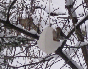 Fuglagjafi, bird feeder, ceramic, keramík hönnun