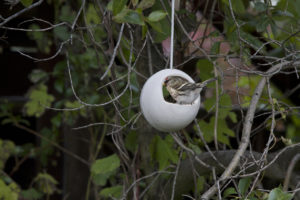 Fuglagjafi, bird feeder, ceramic, keramík hönnun